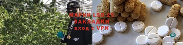 a pvp Алзамай