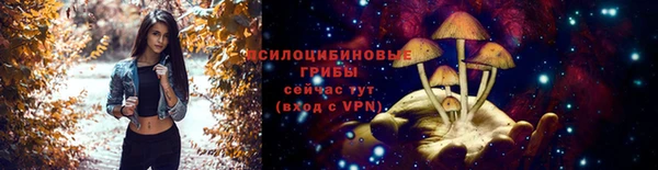 a pvp Алексеевка