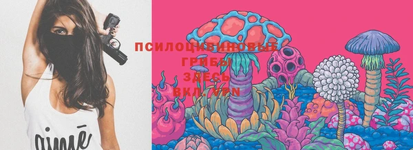 2c-b Алексин