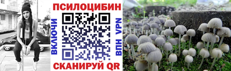 купить   Юрьев-Польский  Псилоцибиновые грибы Cubensis 
