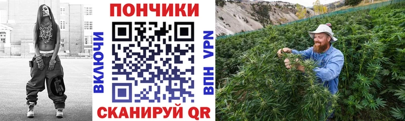 площадка Telegram Юрьев-Польский Конопля сатива